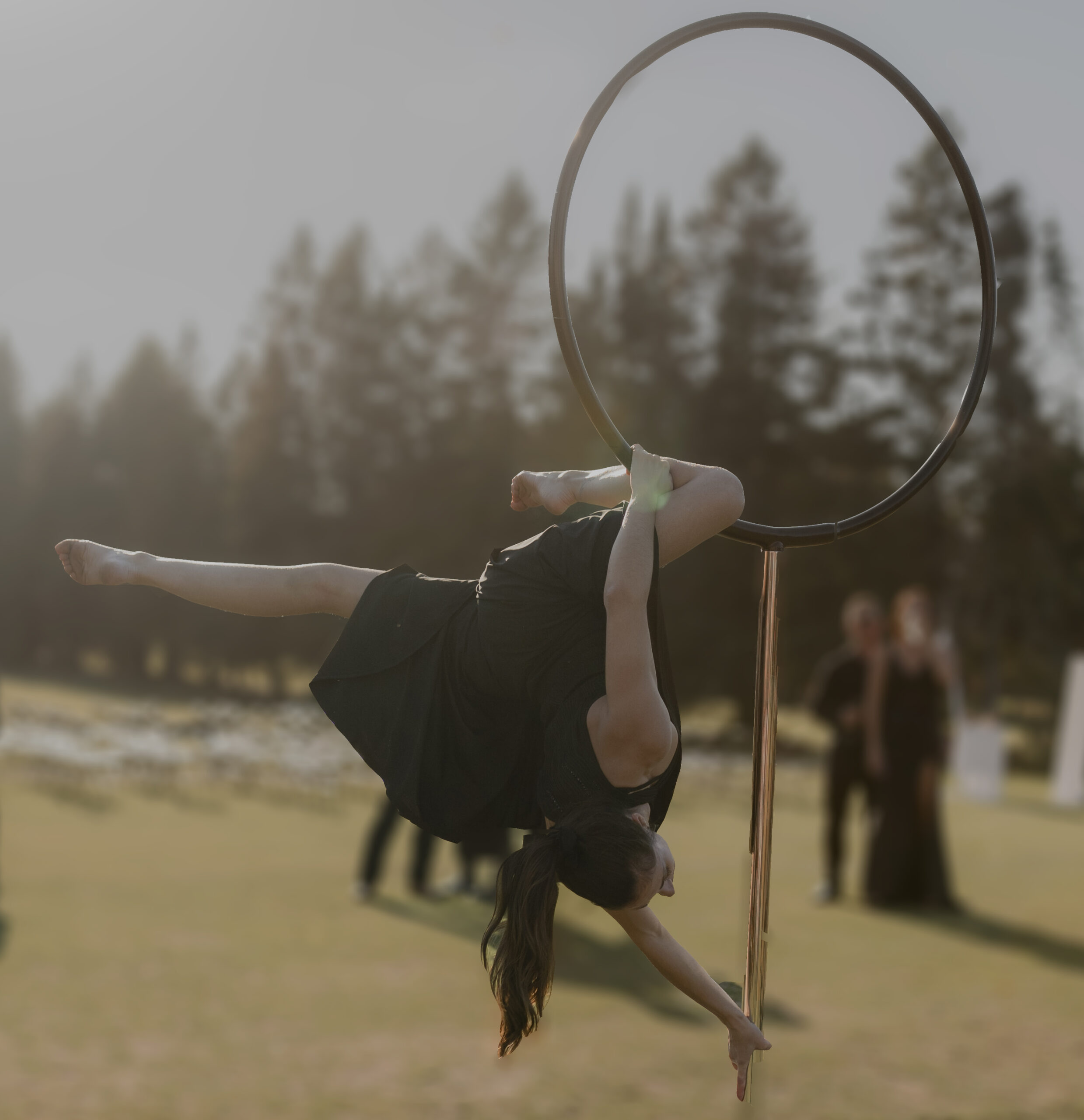 Spectacle impressionnant mariage